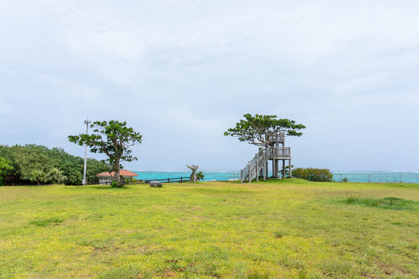 painuhamapark-2307275