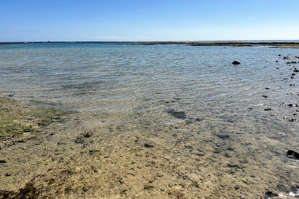 大浜海岸-2312156