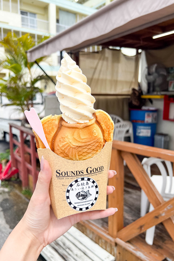 taiyaki-24052110