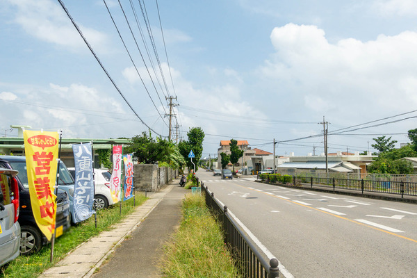 あだん-2310052