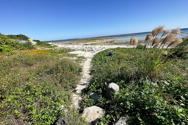 大浜海岸-23121514