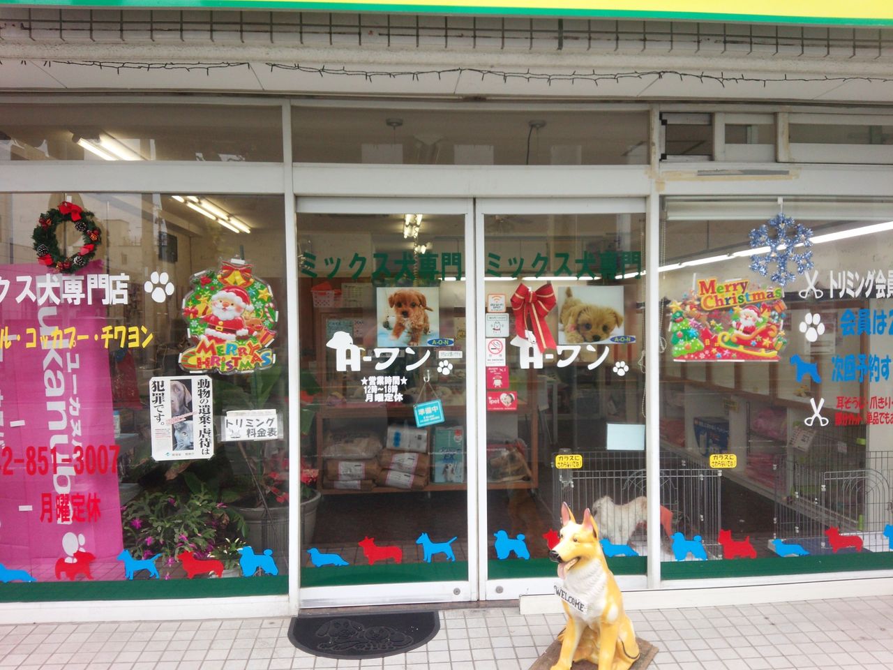 クリスマス飾りつけ tbsテレビ 生き物にサンキュー 今日はこんなことがありました ミックス犬専門店a ワン クリスマス飾りつけ tbsテレビ 生き物にサンキュー 今日はこんなことがありました ミックス犬専門店a ワン