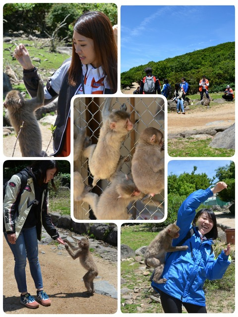 18-06-14-00-15-53-303_deco