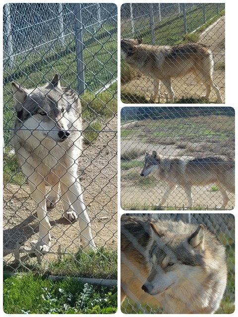 [画像:e9de86c5-s.jpg]