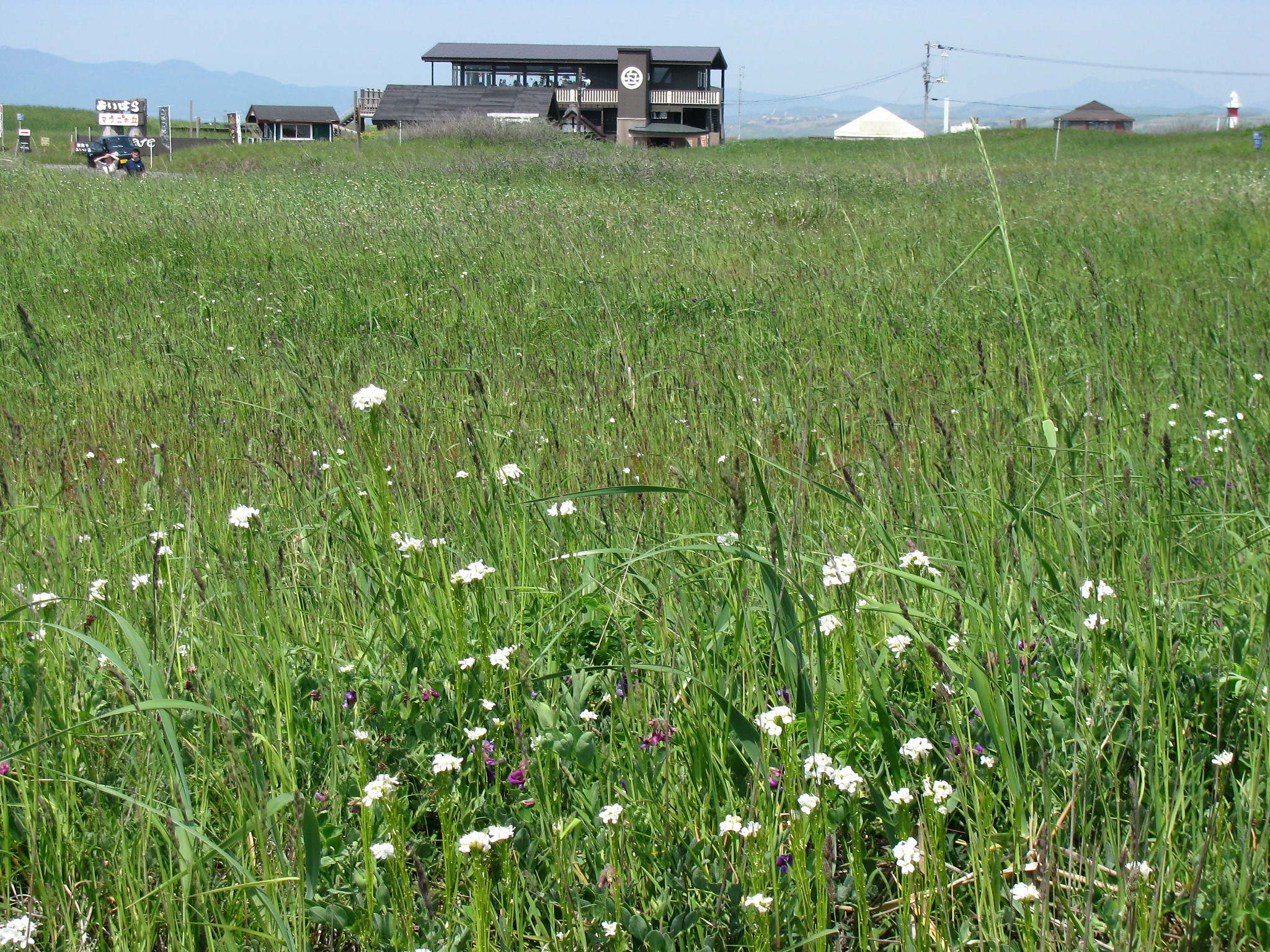 いしかりサイクリング スタンプラリー４ 石狩浜 無辜の民 海浜植物保護センター 石狩情報発信隊
