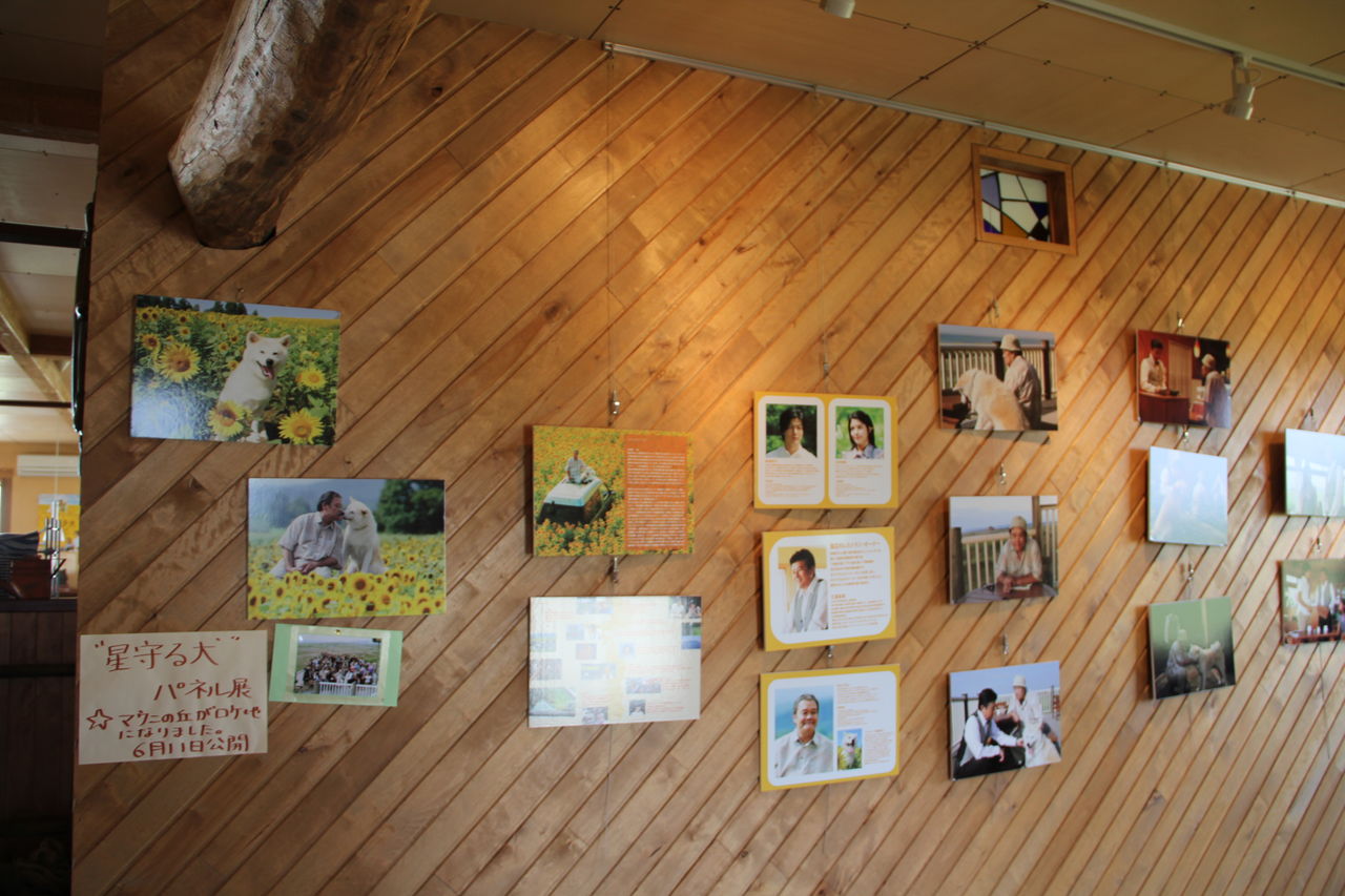 映画 星守る犬 公開 石狩情報発信隊