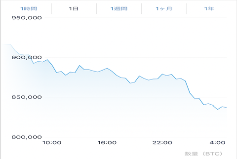 【悲報】ビットコインさん、バーゲンセールを開催