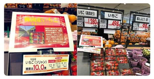 イオンが日本から盗まれた苗で作られた韓国産イチゴ「雪香」を堂々と販売する売国奴だった