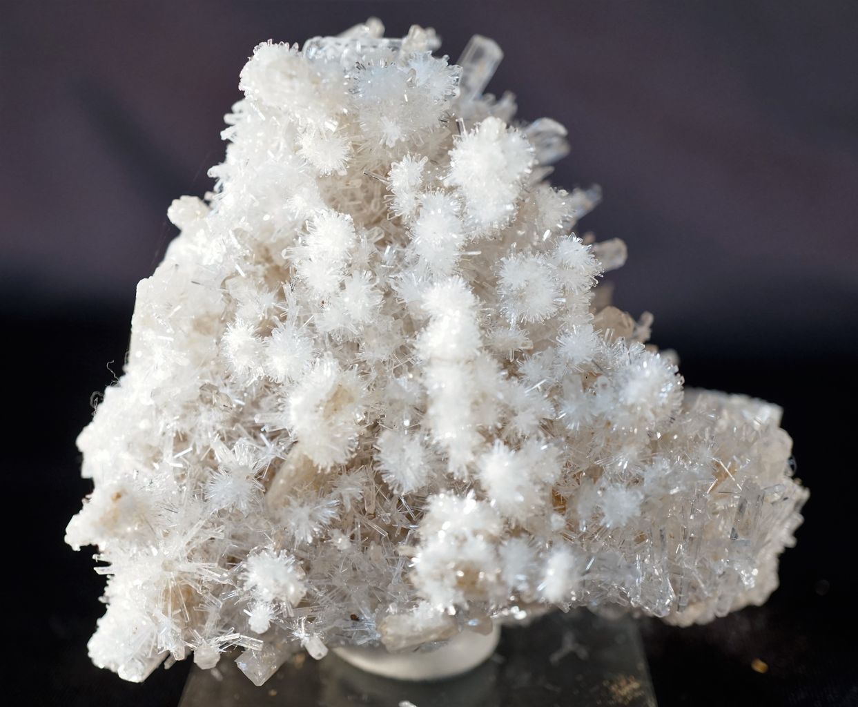 針状結晶鉱物コレクション3 セレナイト（透石膏） : 奇跡の石ころ