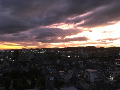 IMG_3578