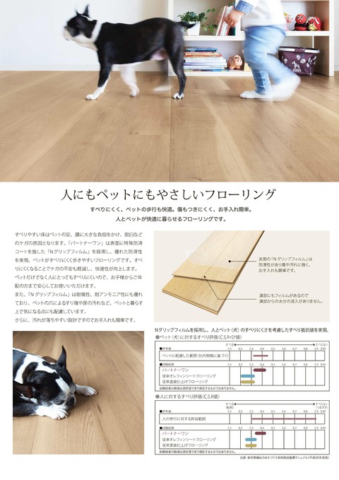 CatalogDownload_01