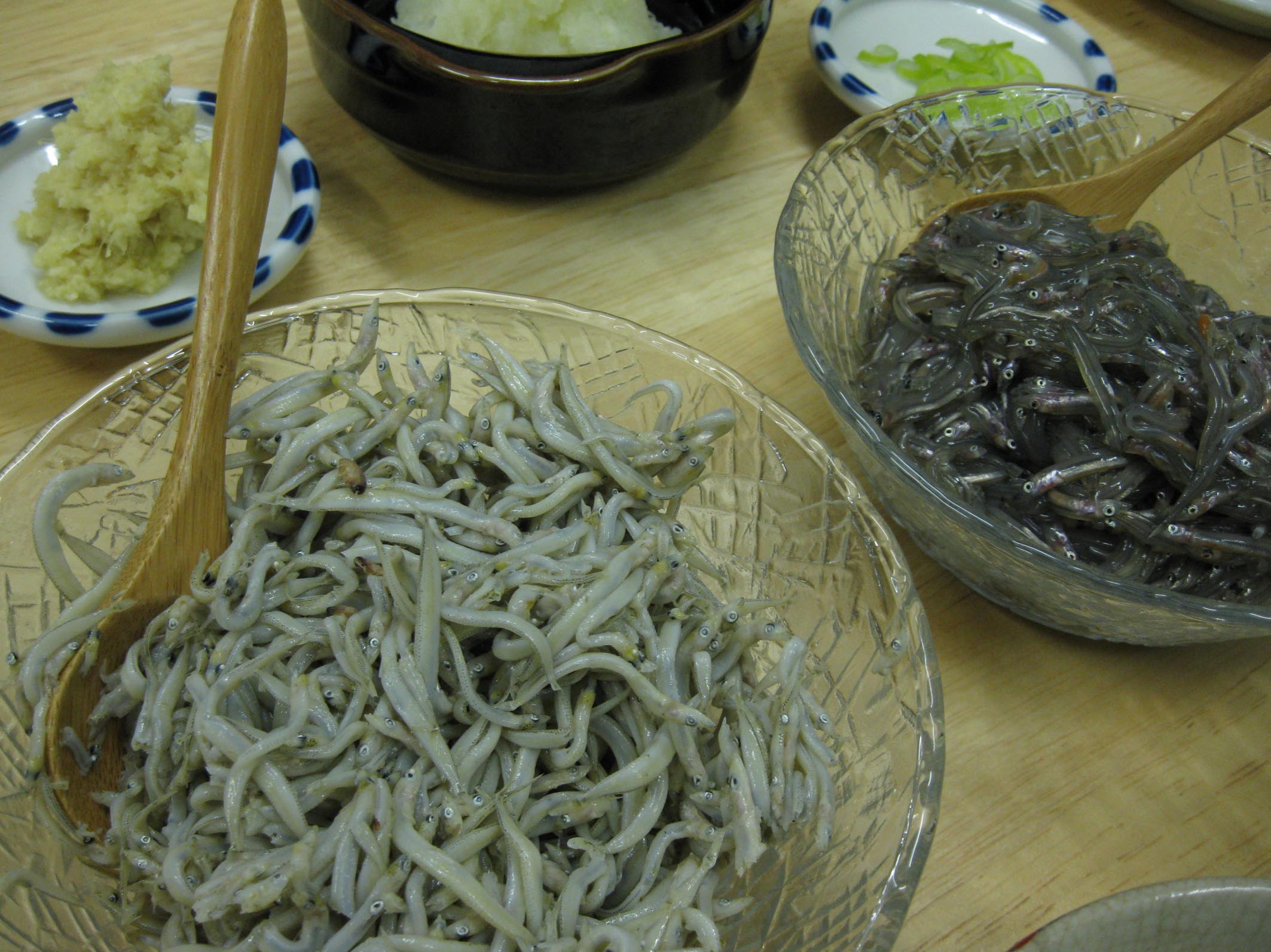 しらす祭り 石巻日和 しらす祭り 石巻日和
