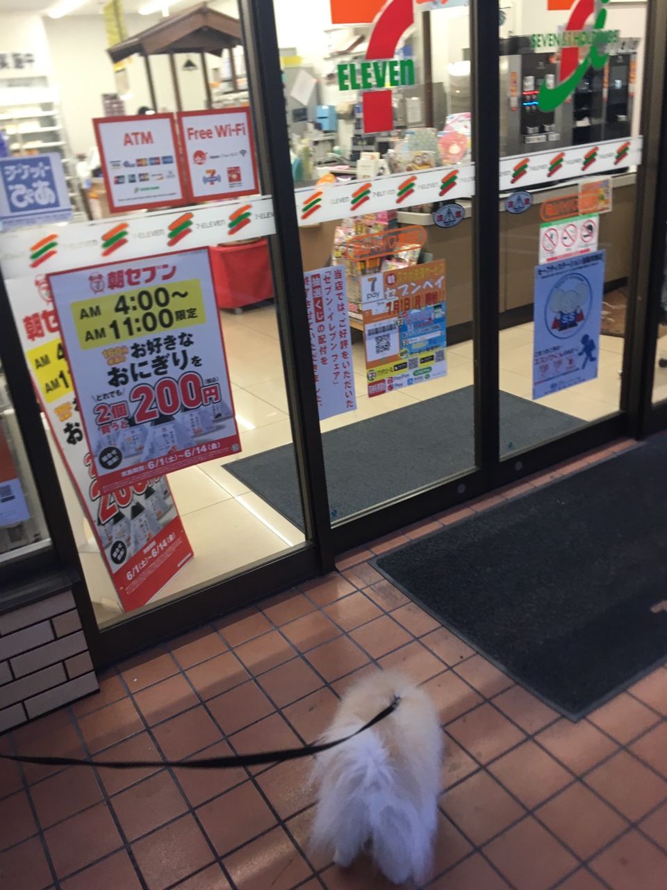 コンビニ犬 イシンホーム高松支店のblog
