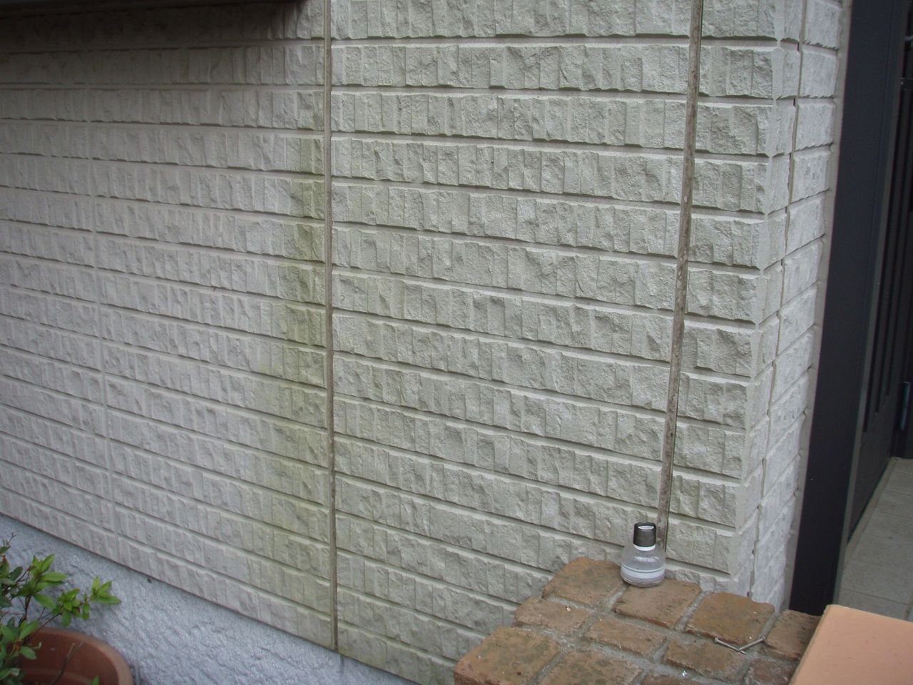 サイディングのコケ イシンtomiyamaのblog