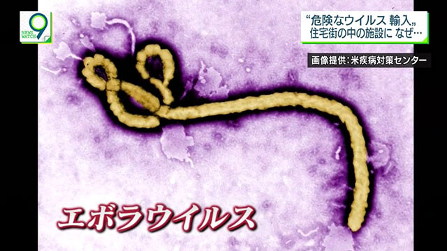 エボラ