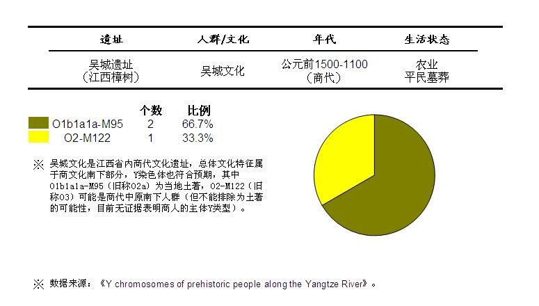 呉城y染色體知乎