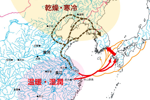 佐藤洋一郎説圖稻