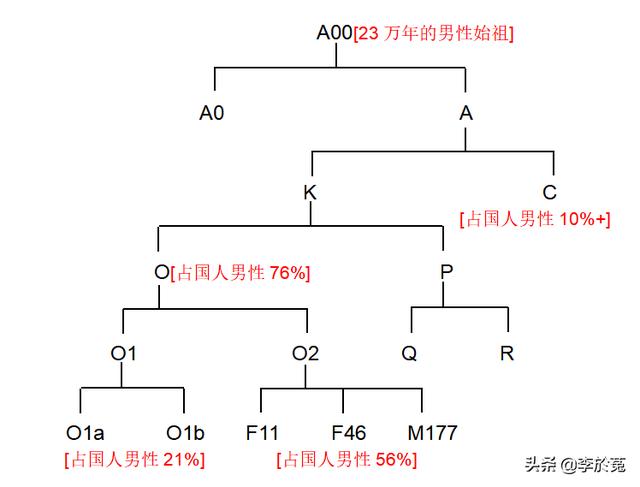 チャイナＹ染色體O1a_O1b系統圖