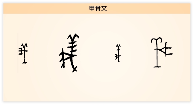 義甲骨文