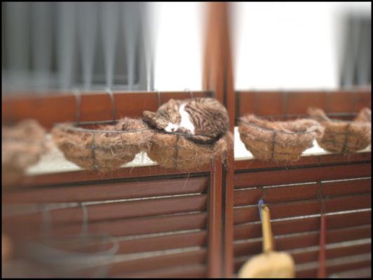 NEWSHOMEへようこそ