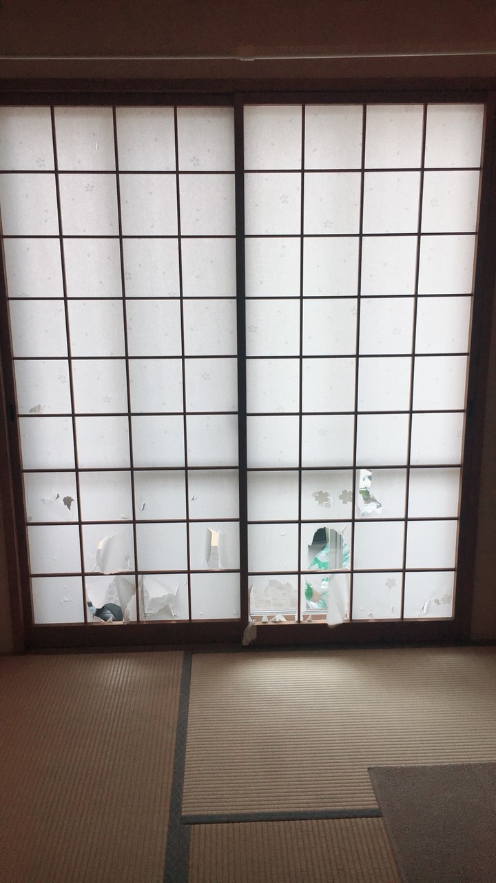 破れない障子でストレス無し 片づけの向こう側 奇跡の3日片づけ 夢をかなえる7割収納 Powered By ライブドアブログ 破れない障子でストレス無し 片づけの向こう側 奇跡の3日片づけ 夢をかなえる7割収納 Powered By ライブドアブログ