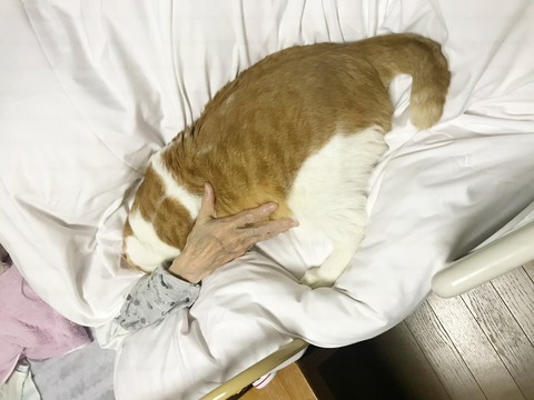 S__9068588