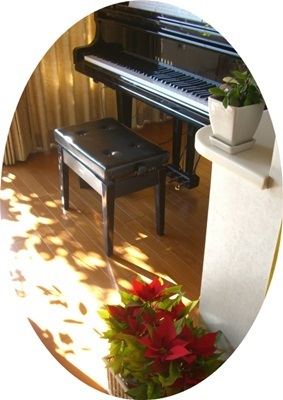 大阪整理収納レッスン　ニューズスタイル