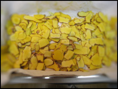 NEWSHOMEへようこそ