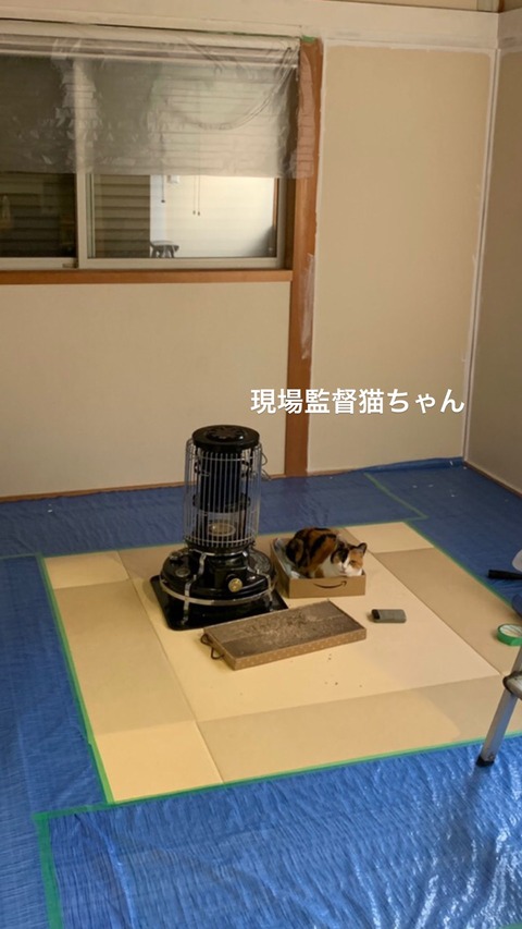 c3f57c215ea6b2b24a8f04b050d74771b_57821095_210429_7