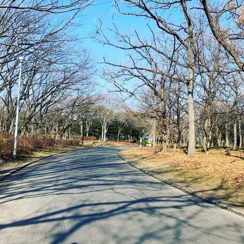 50歳からは挽回の年齢 才能なし 自信なし のろまな亀もやればできるんだー 片づけの向こう側 奇跡の3日片づけ 夢をかなえる7割収納 Powered By ライブドアブログ 50歳からは挽回の年齢 才能なし 自信なし のろまな亀もやればできるんだー 片づけの向こう側 奇跡の3日片づけ 夢をかなえる7割収納 Powered By ライブドアブログ