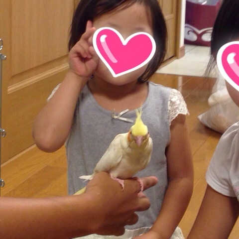 photo:02