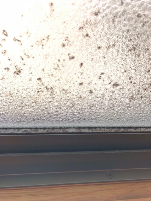 10C441E8-4AB4-4EE9-B235-5D7126CBC81D