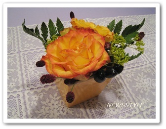 NEWSHOME＆ＮｅｗｓＳｔｙｌｅへようこそ