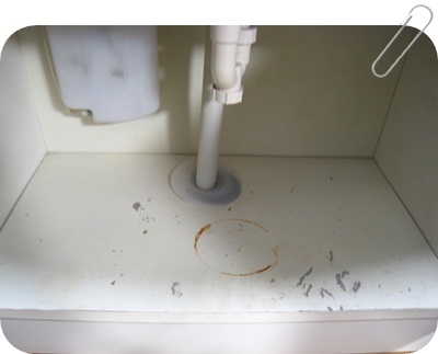 NEWSHOME＆ＮｅｗｓＳｔｙｌｅへようこそ