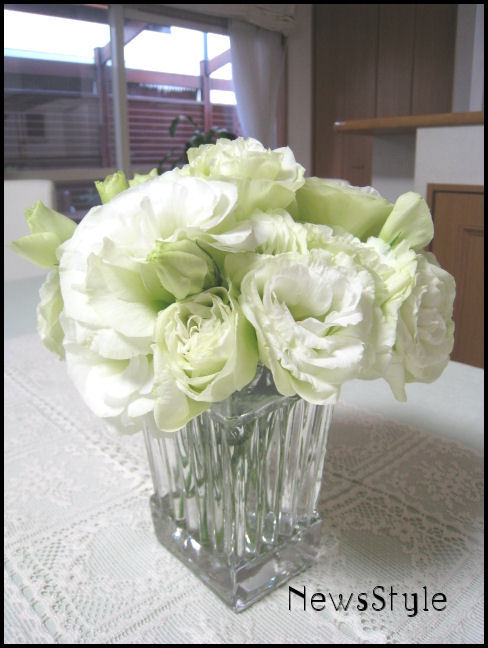 NEWSHOME＆ＮｅｗｓＳｔｙｌｅへようこそ