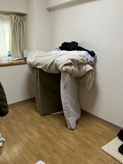 LINE_ALBUM_洋室1 (子どもの寝室)_240808_2