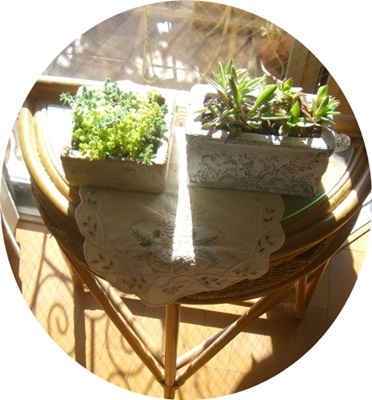 大阪整理収納レッスン　ニューズスタイル