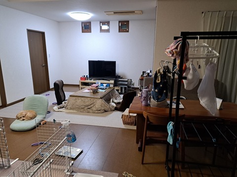 LINE_ALBUM_リビング_240515_4