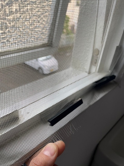 LINE_ALBUM_トイレ_240717_2