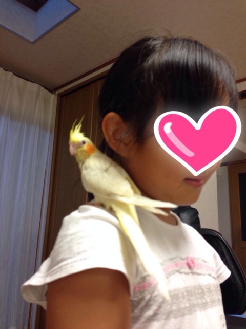 photo:03