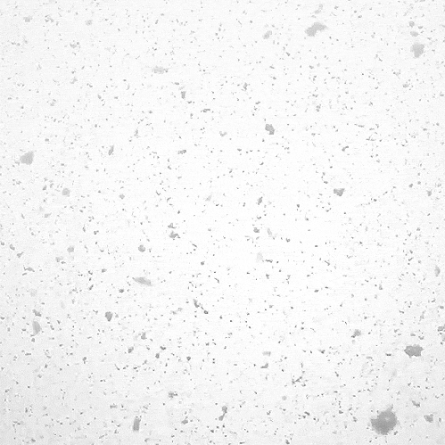 新垣結衣 Canon Eos Kiss 大雪 今度いつ飲む 新垣結衣 Canon Eos Kiss 大雪 今度いつ飲む