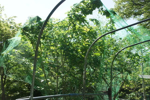 DSC02814