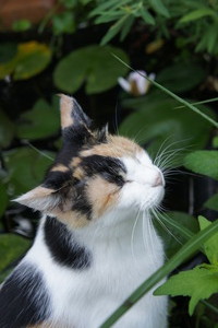 DSC01676