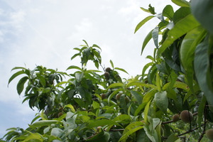 DSC03941