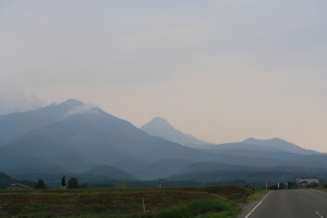 IMG_8491