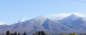 DSC06154