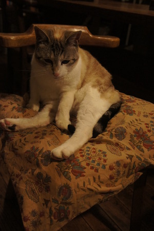 DSC00791