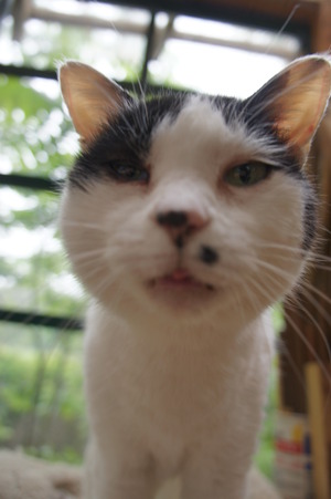 DSC01384