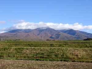 PB020006