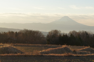 DSC06461